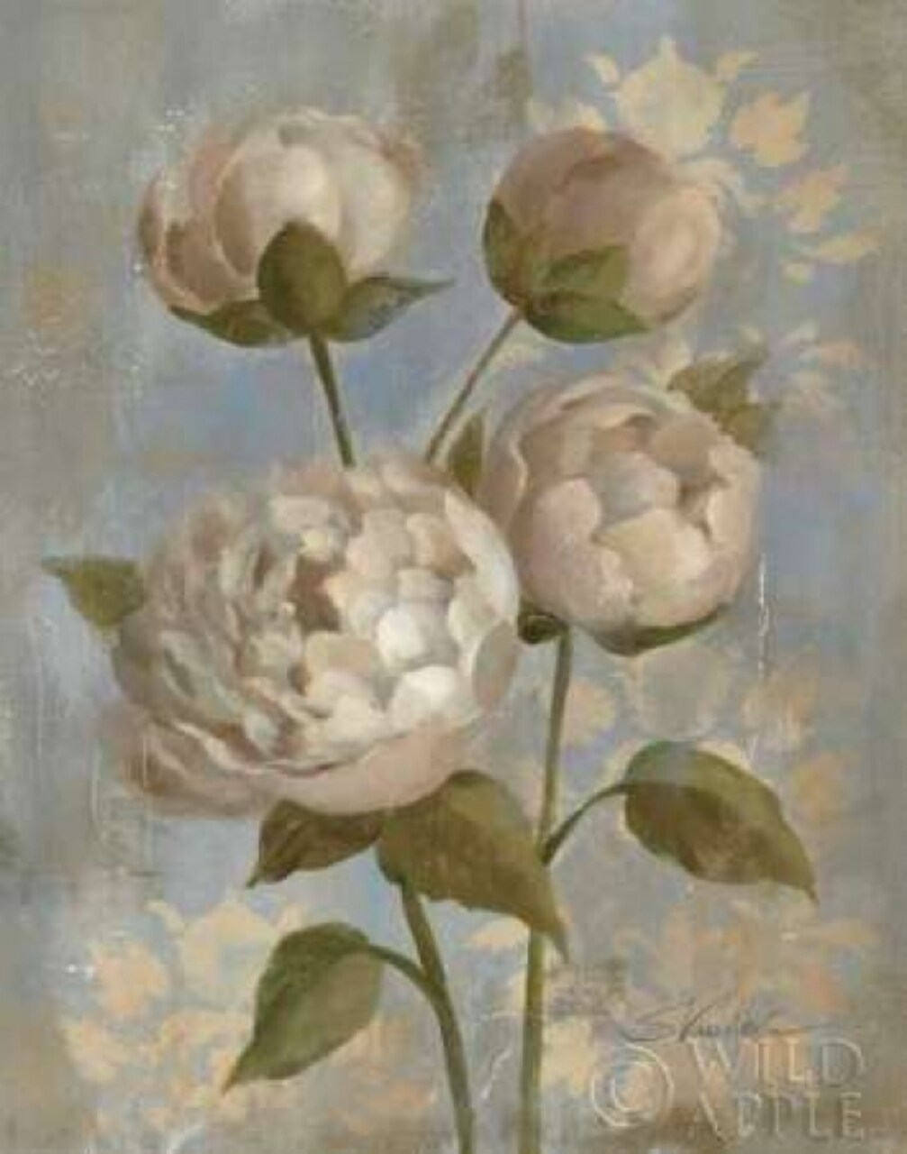 Peony on Soft Blue - Original Poster Print by Silvia Vassileva - Item # VARPDX5207